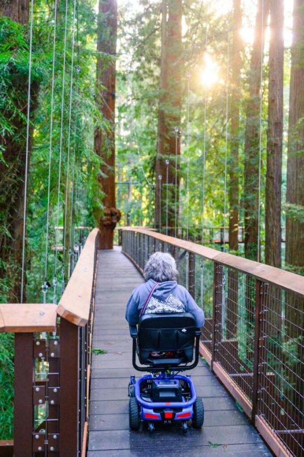 Elderly disabled woman crossing bridge