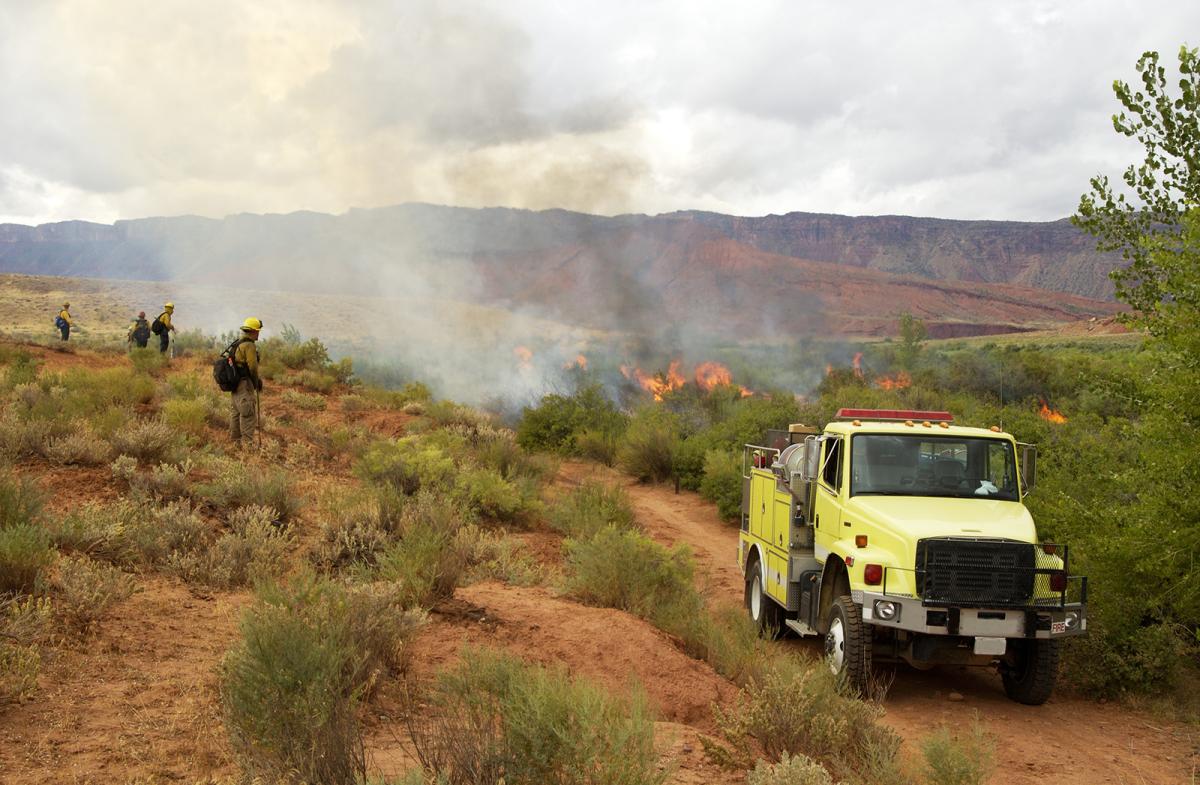 Firefighters performing a controlled burn.