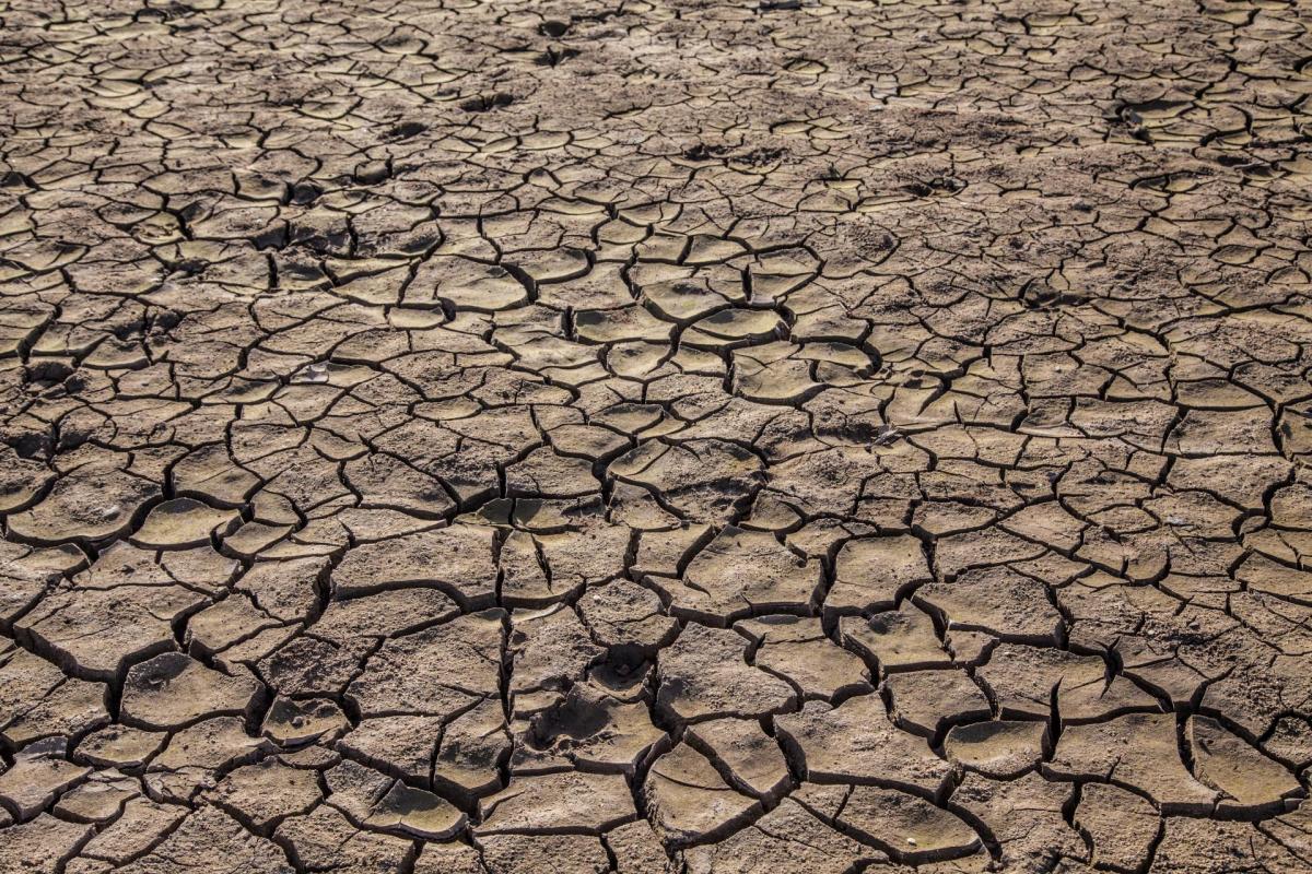 Dry cracked ground