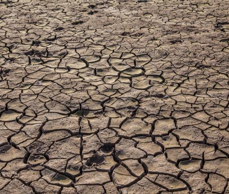 Dry cracked ground